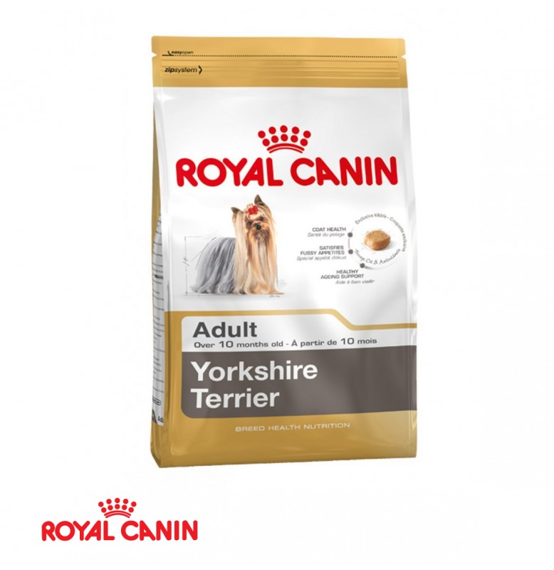 royal canin mini yorkshire