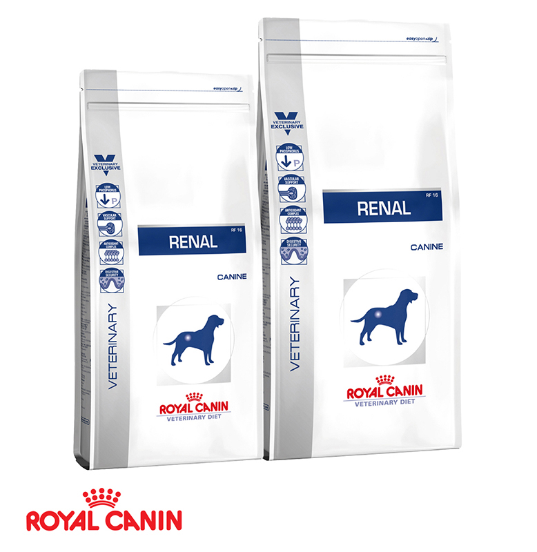 royal canin renal dog food
