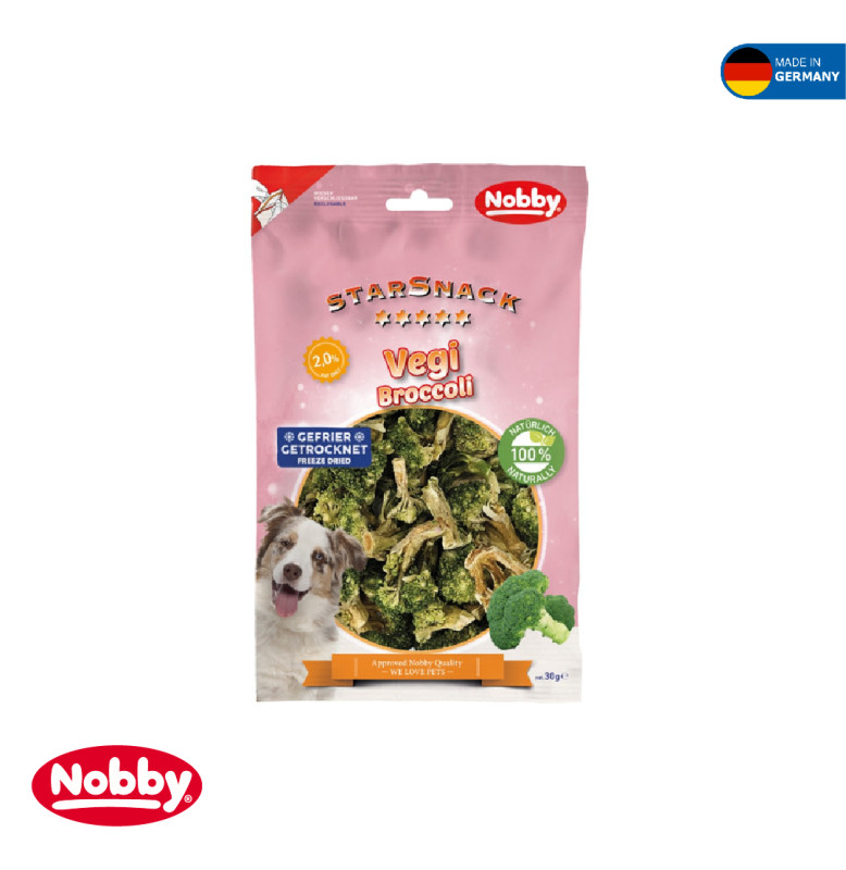 STARSNACK FD VEGI BROCCOLI APP. 25 G